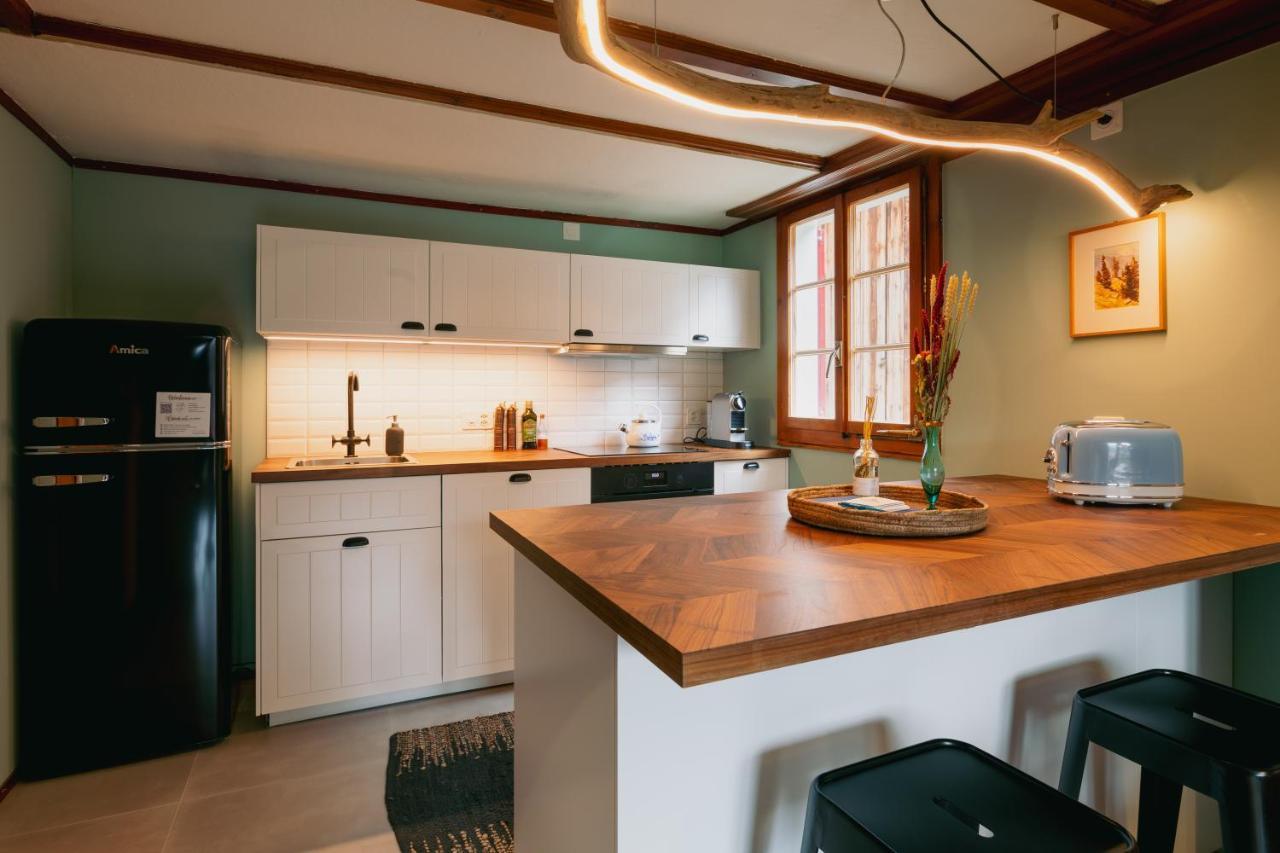 The Appartement Sedrun